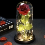 Malatec 21619 LED růže ve skleněné váze